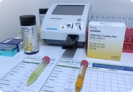 Área de Laboratorio LAESH