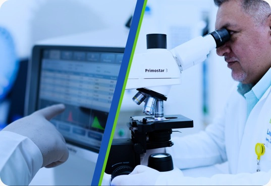 Área de Laboratorio LAESH